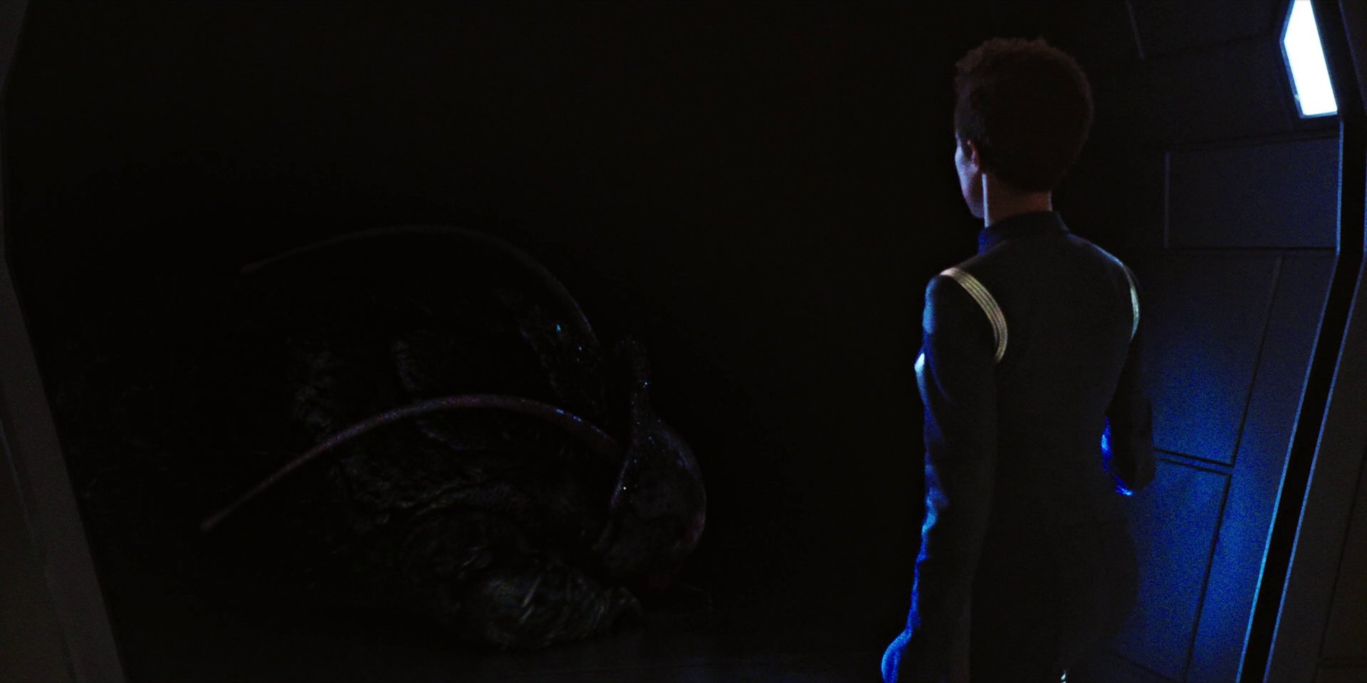 extant_StarTrekDiscovery_1x04-TheButchersKnifeCaresNotForTheLambsCry_3585.jpg