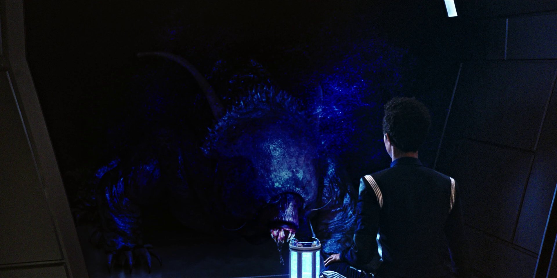 extant_StarTrekDiscovery_1x04-TheButchersKnifeCaresNotForTheLambsCry_3641.jpg