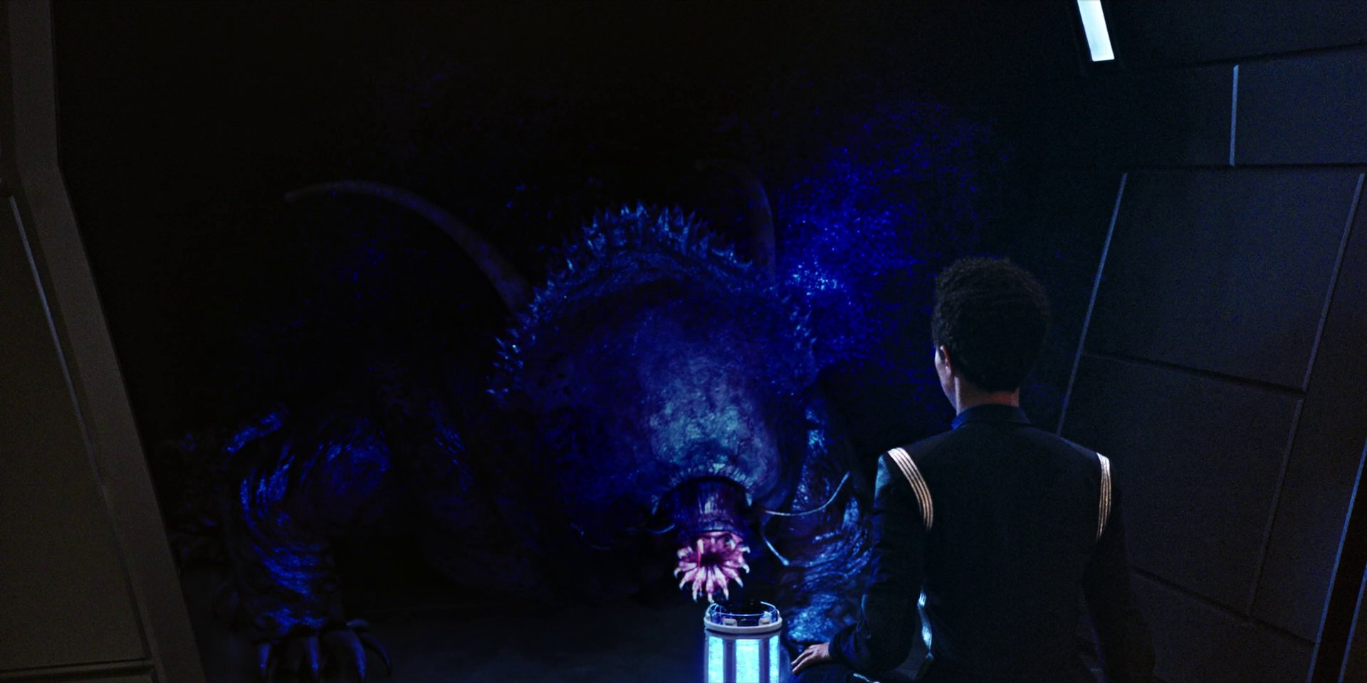 extant_StarTrekDiscovery_1x04-TheButchersKnifeCaresNotForTheLambsCry_3642.jpg