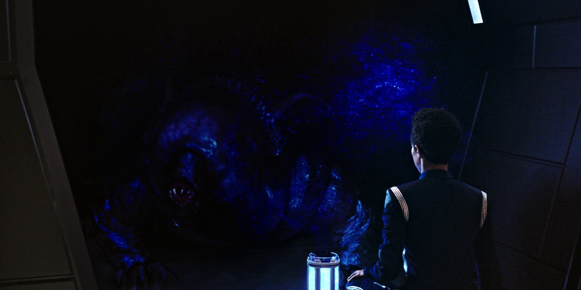 extant_StarTrekDiscovery_1x04-TheButchersKnifeCaresNotForTheLambsCry_3646.jpg