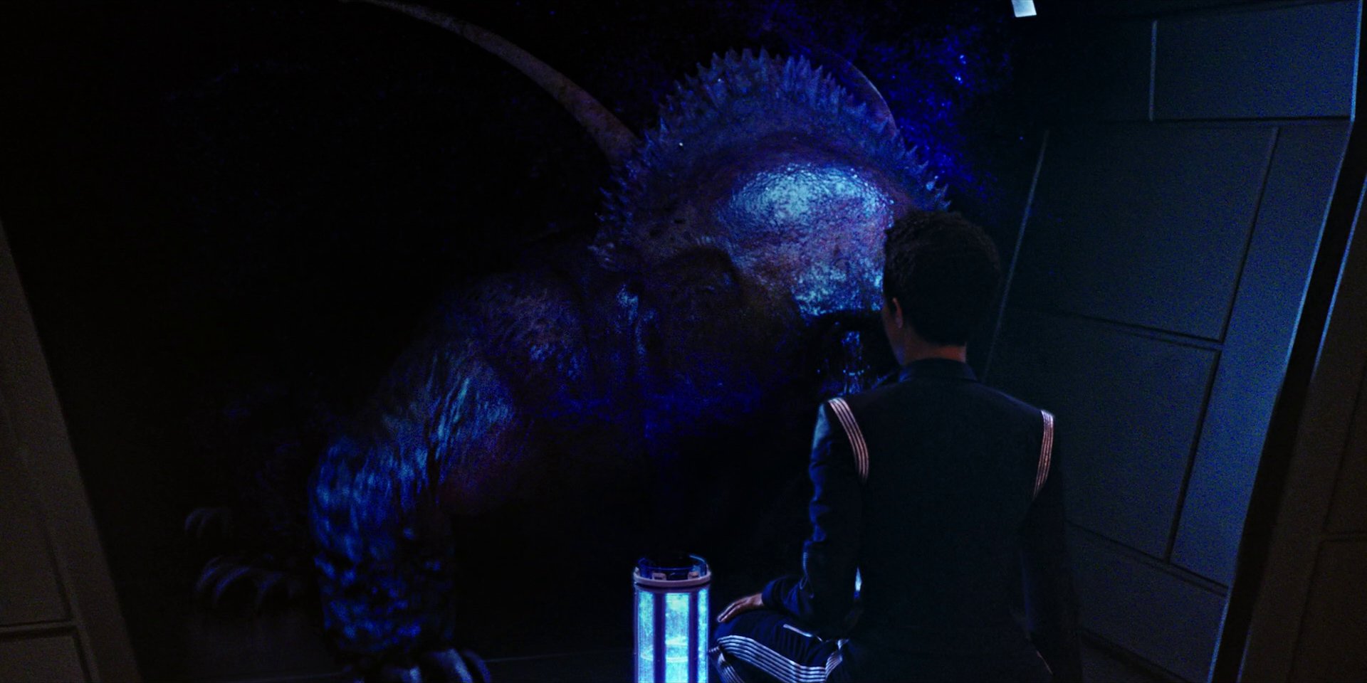 extant_StarTrekDiscovery_1x04-TheButchersKnifeCaresNotForTheLambsCry_3653.jpg
