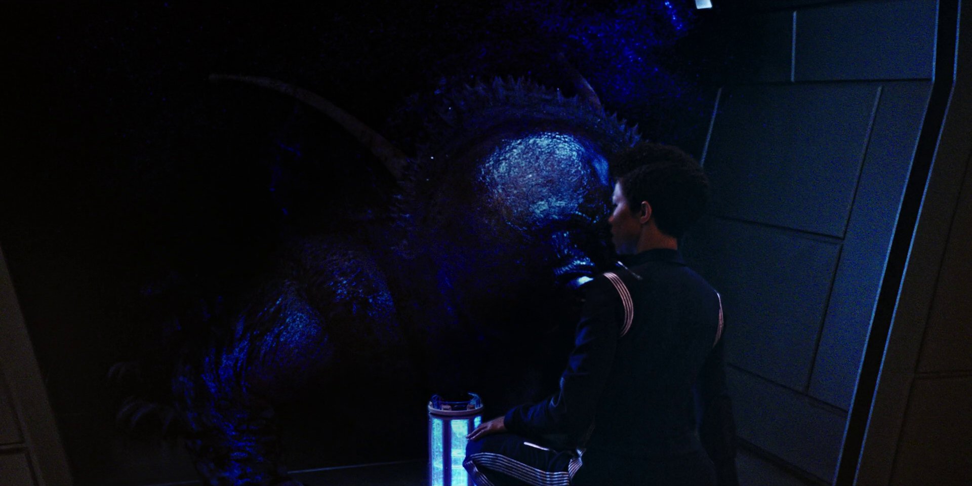 extant_StarTrekDiscovery_1x04-TheButchersKnifeCaresNotForTheLambsCry_3657.jpg