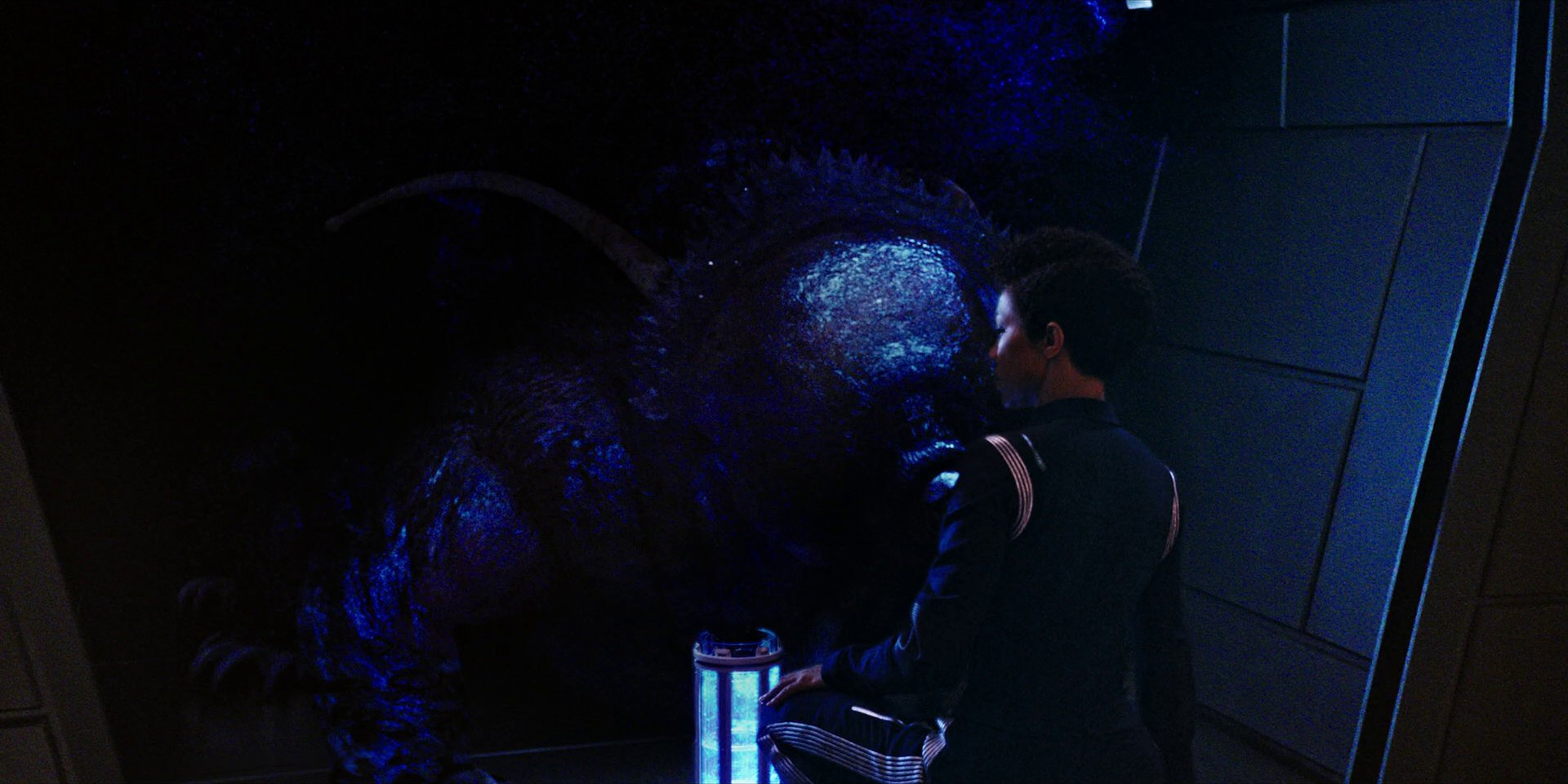extant_StarTrekDiscovery_1x04-TheButchersKnifeCaresNotForTheLambsCry_3658.jpg