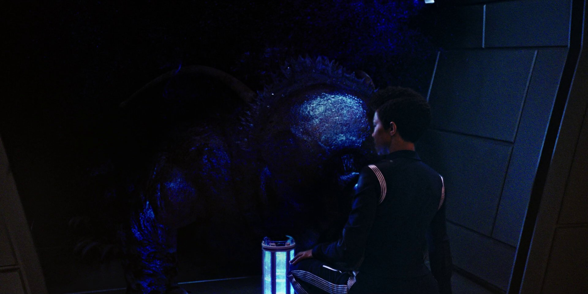 extant_StarTrekDiscovery_1x04-TheButchersKnifeCaresNotForTheLambsCry_3659.jpg