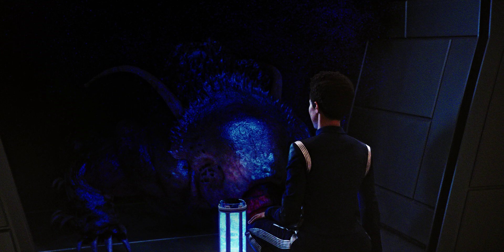 extant_StarTrekDiscovery_1x04-TheButchersKnifeCaresNotForTheLambsCry_3672.jpg