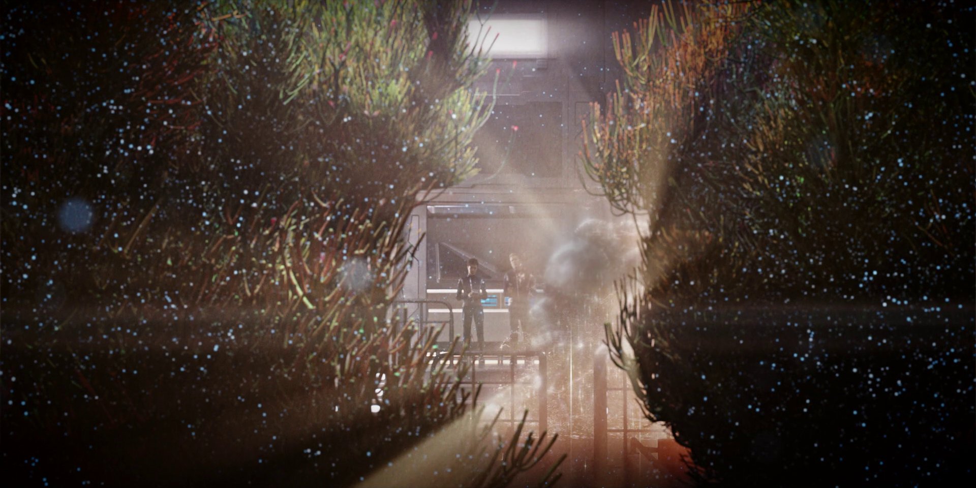 extant_StarTrekDiscovery_1x04-TheButchersKnifeCaresNotForTheLambsCry_3864.jpg