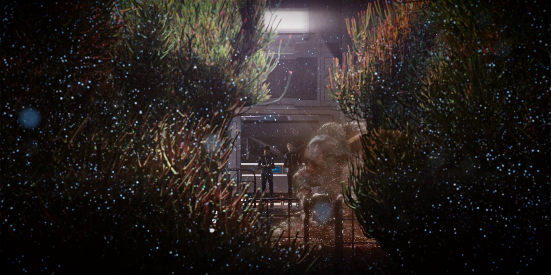 extant_StarTrekDiscovery_1x04-TheButchersKnifeCaresNotForTheLambsCry_3866.jpg
