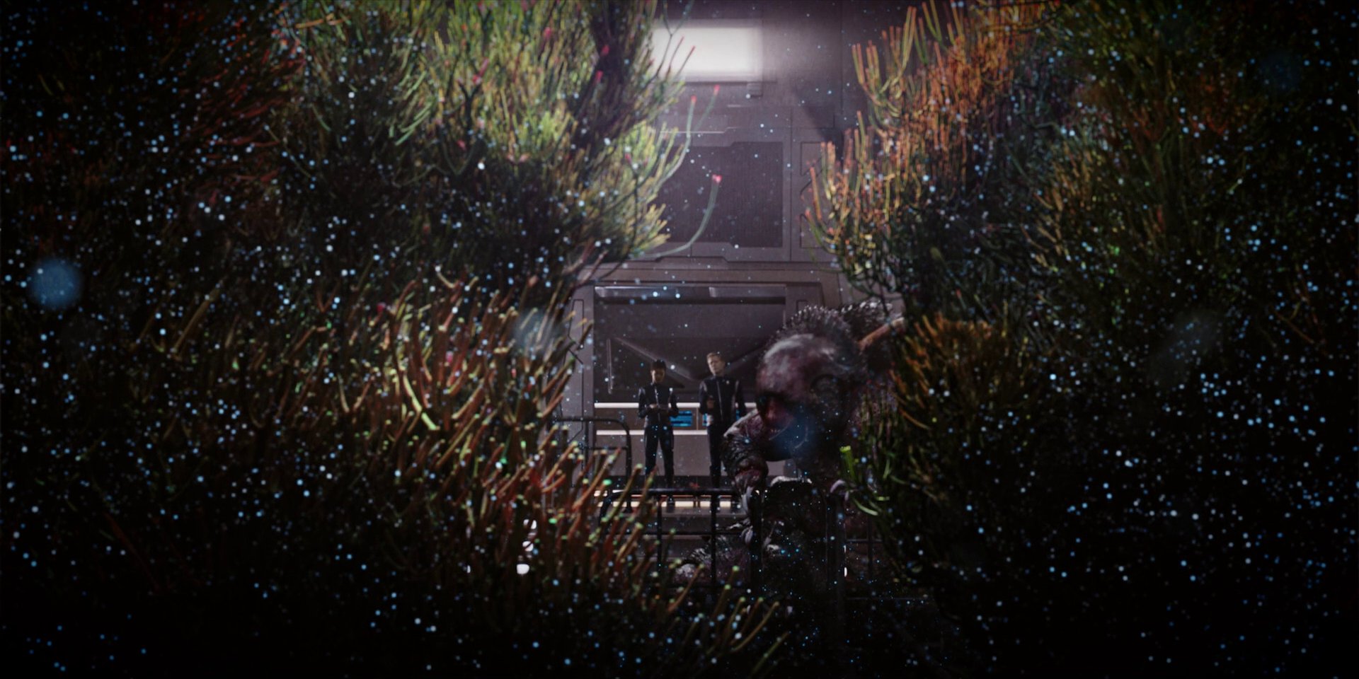 extant_StarTrekDiscovery_1x04-TheButchersKnifeCaresNotForTheLambsCry_3867.jpg