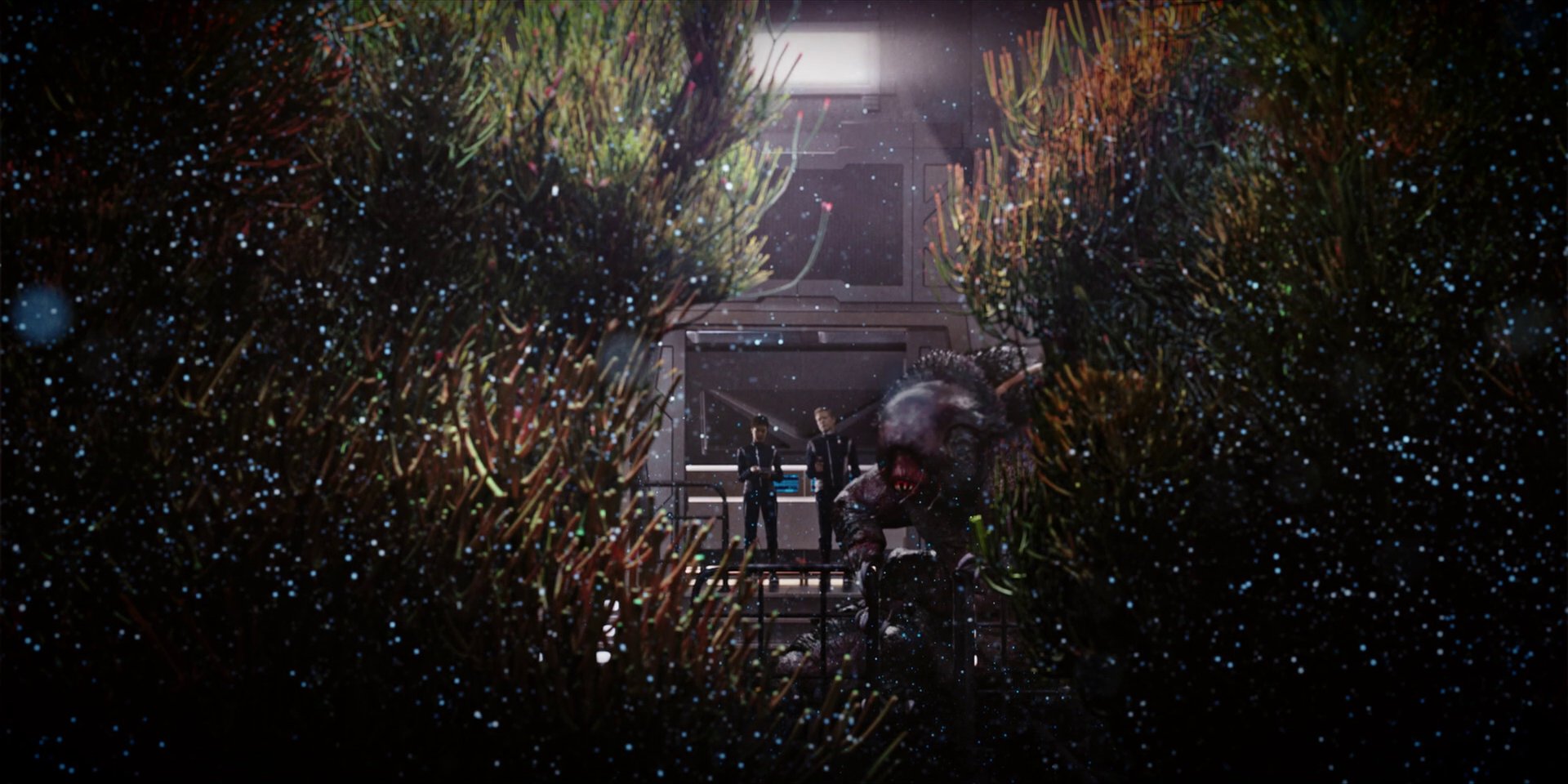extant_StarTrekDiscovery_1x04-TheButchersKnifeCaresNotForTheLambsCry_3868.jpg