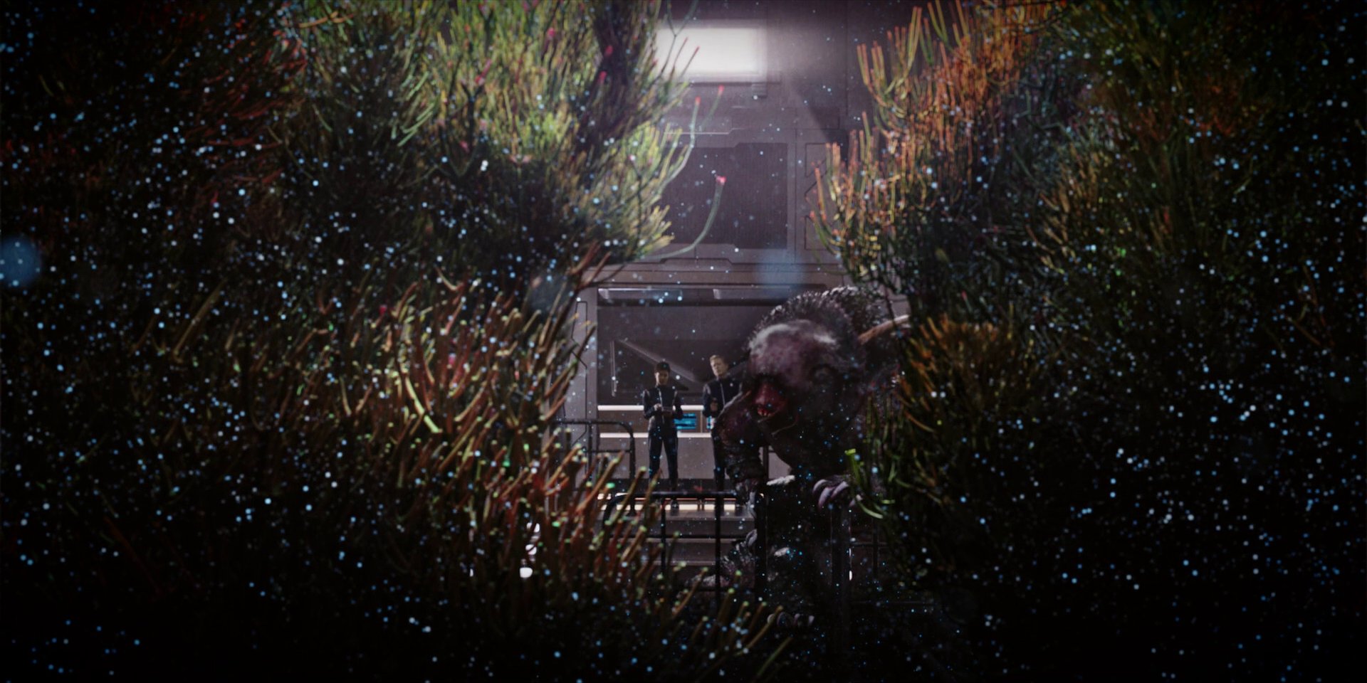 extant_StarTrekDiscovery_1x04-TheButchersKnifeCaresNotForTheLambsCry_3869.jpg
