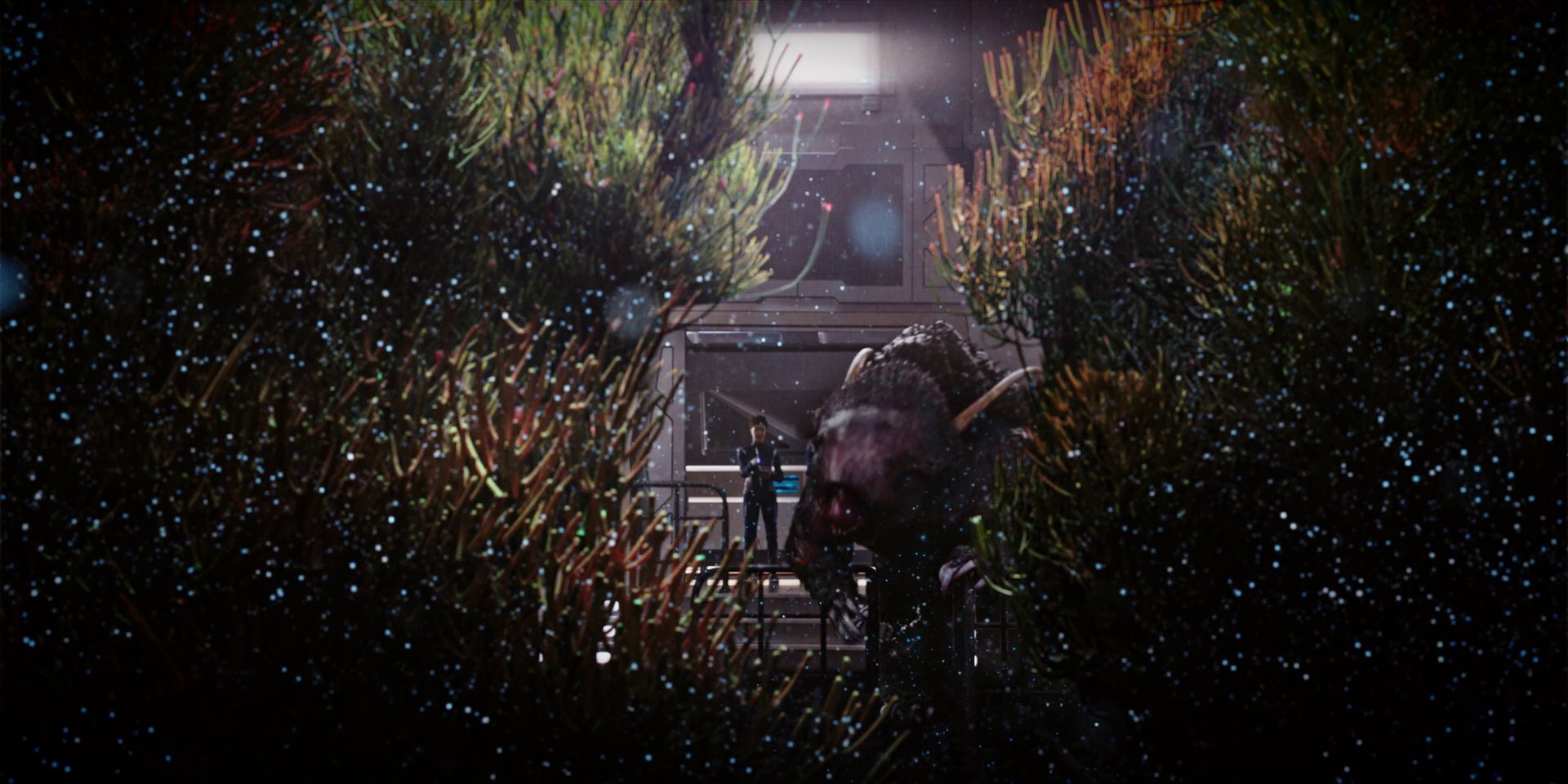 extant_StarTrekDiscovery_1x04-TheButchersKnifeCaresNotForTheLambsCry_3870.jpg