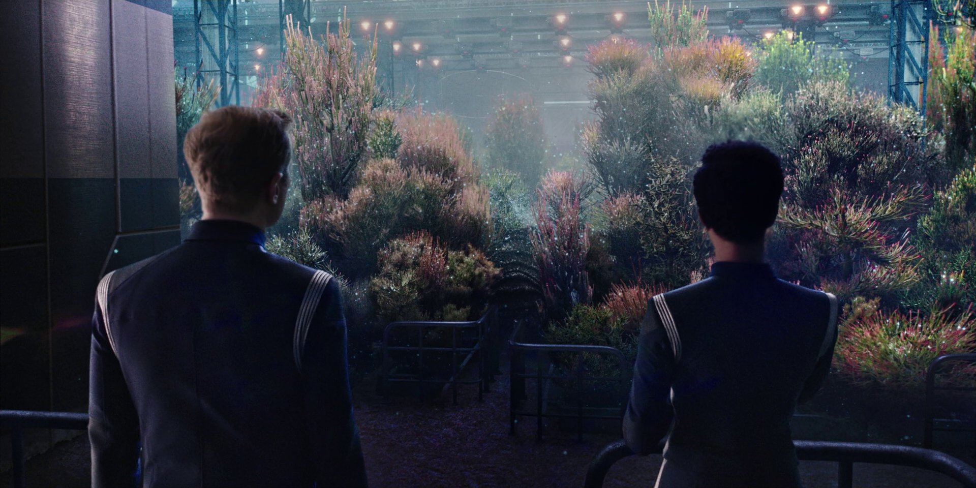 extant_StarTrekDiscovery_1x04-TheButchersKnifeCaresNotForTheLambsCry_3930.jpg