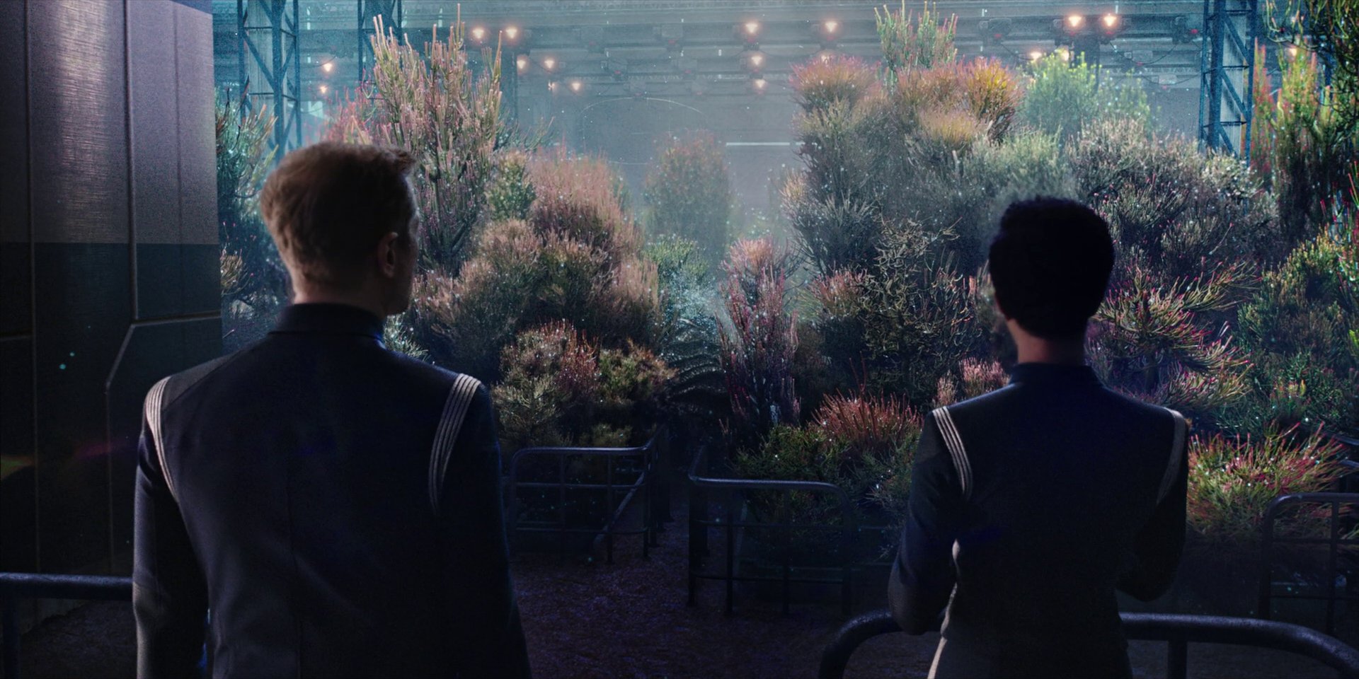 extant_StarTrekDiscovery_1x04-TheButchersKnifeCaresNotForTheLambsCry_3935.jpg