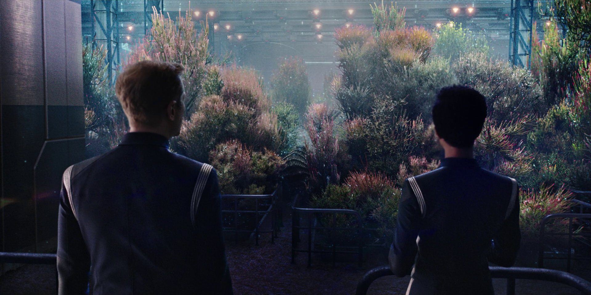 extant_StarTrekDiscovery_1x04-TheButchersKnifeCaresNotForTheLambsCry_3937.jpg extant_StarTrekDiscovery_1x04-TheButchersKnifeCaresNotForTheLambsCry_3937.jpg