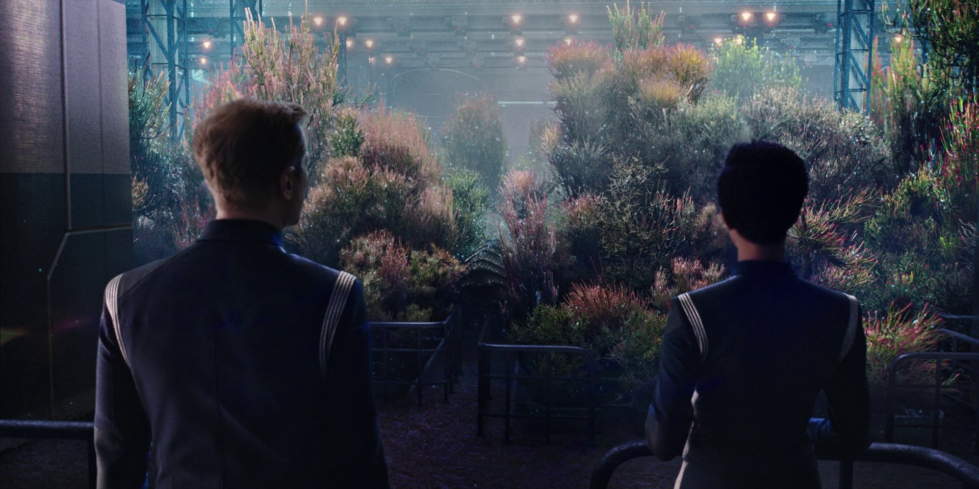 extant_StarTrekDiscovery_1x04-TheButchersKnifeCaresNotForTheLambsCry_3938.jpg