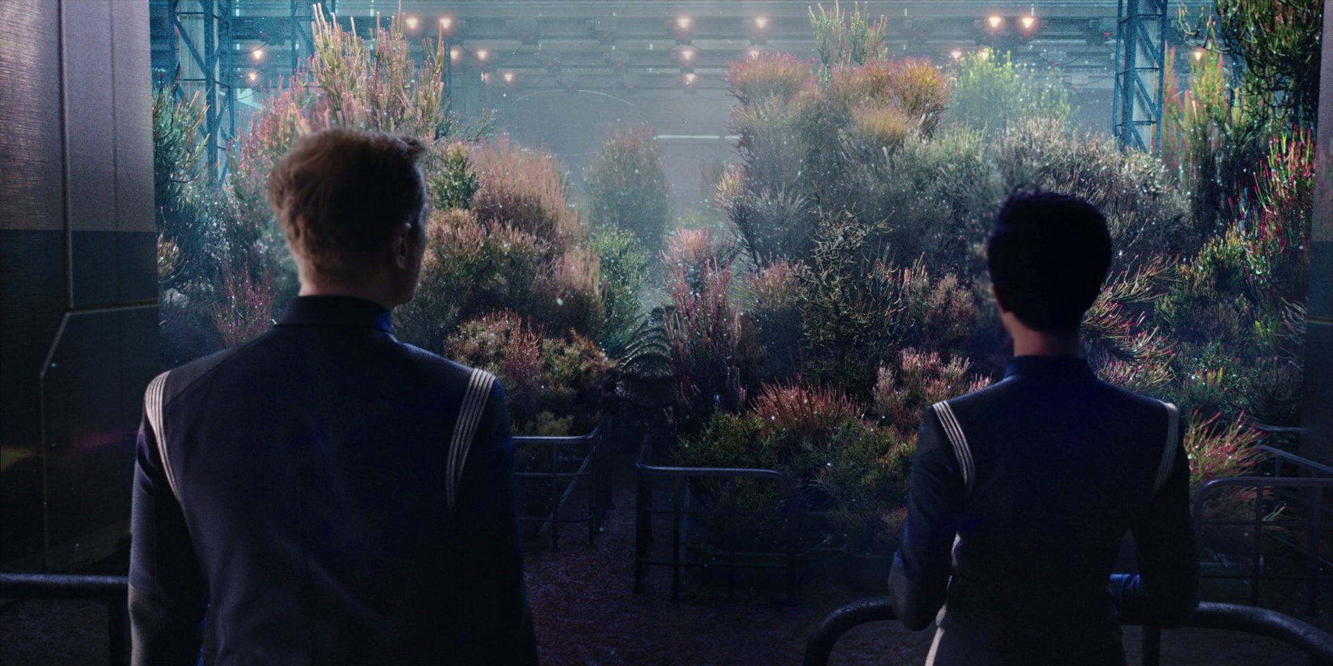extant_StarTrekDiscovery_1x04-TheButchersKnifeCaresNotForTheLambsCry_3940.jpg