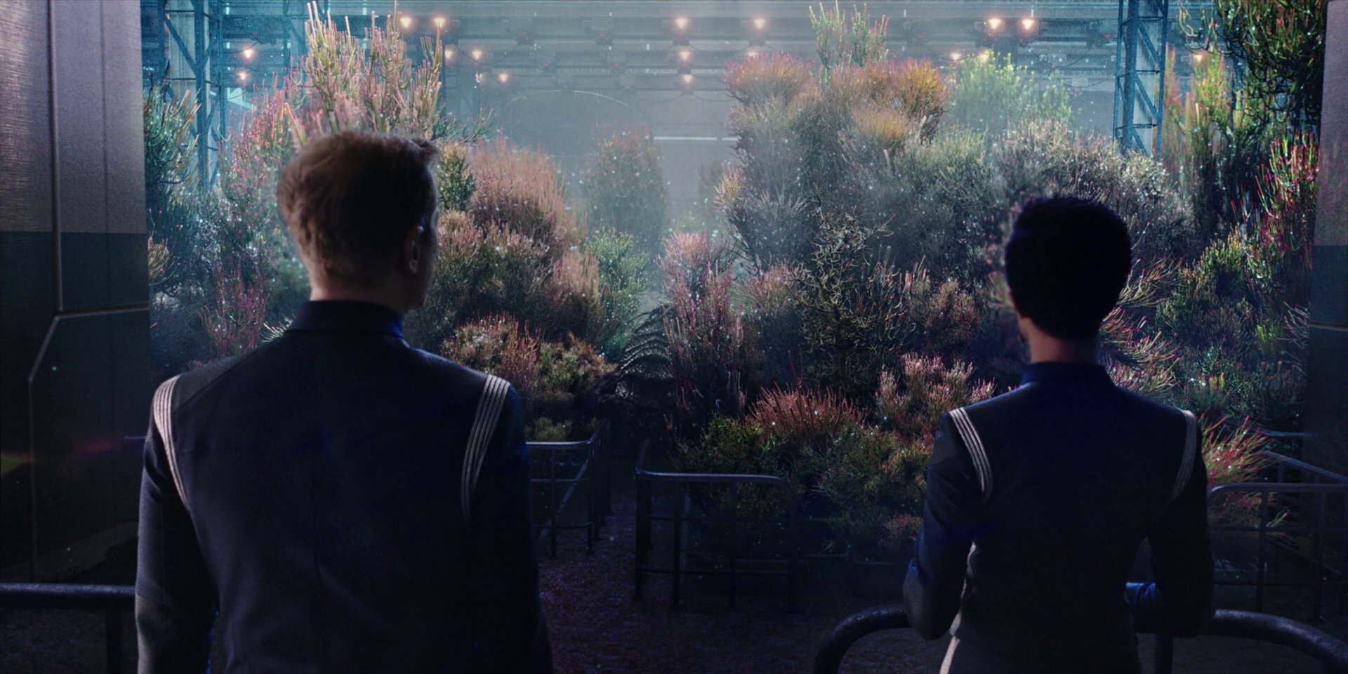 extant_StarTrekDiscovery_1x04-TheButchersKnifeCaresNotForTheLambsCry_3941.jpg
