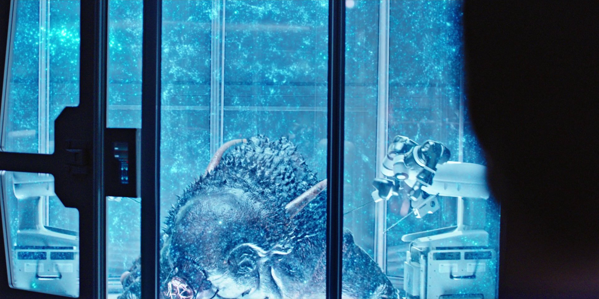 extant_StarTrekDiscovery_1x04-TheButchersKnifeCaresNotForTheLambsCry_4206.jpg