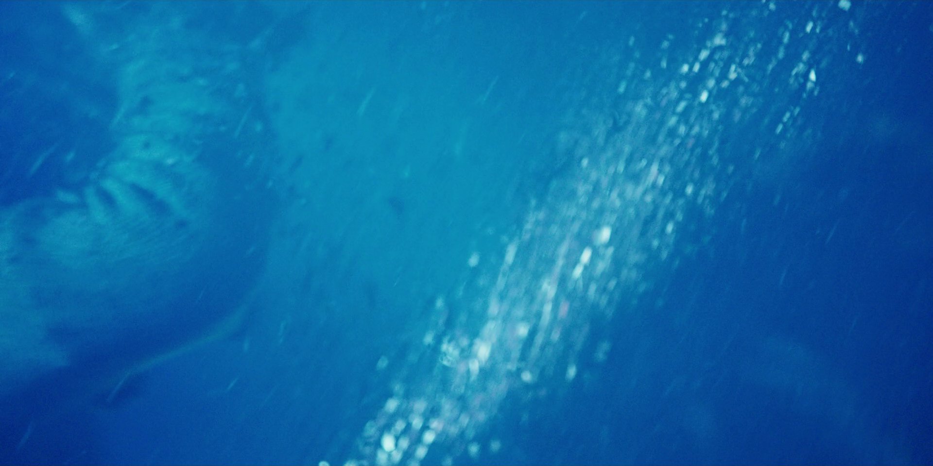 extant_StarTrekDiscovery_1x04-TheButchersKnifeCaresNotForTheLambsCry_4285.jpg