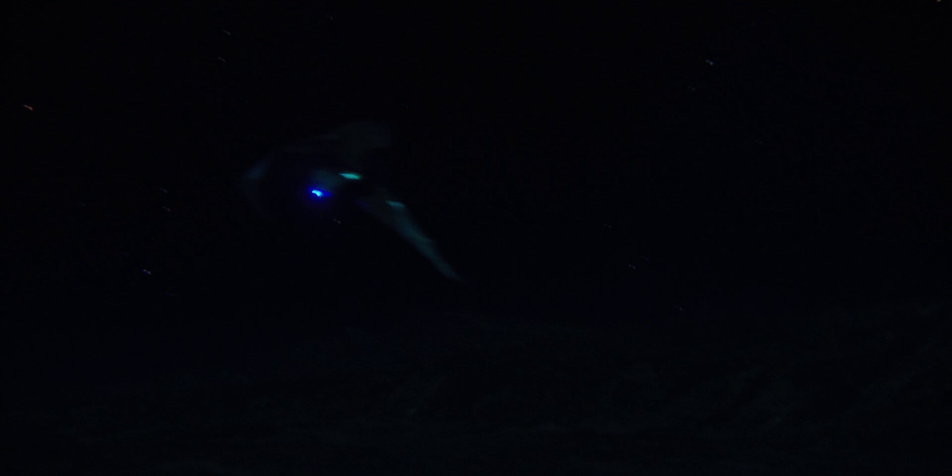 extant_StarTrekDiscovery_1x04-TheButchersKnifeCaresNotForTheLambsCry_4310.jpg