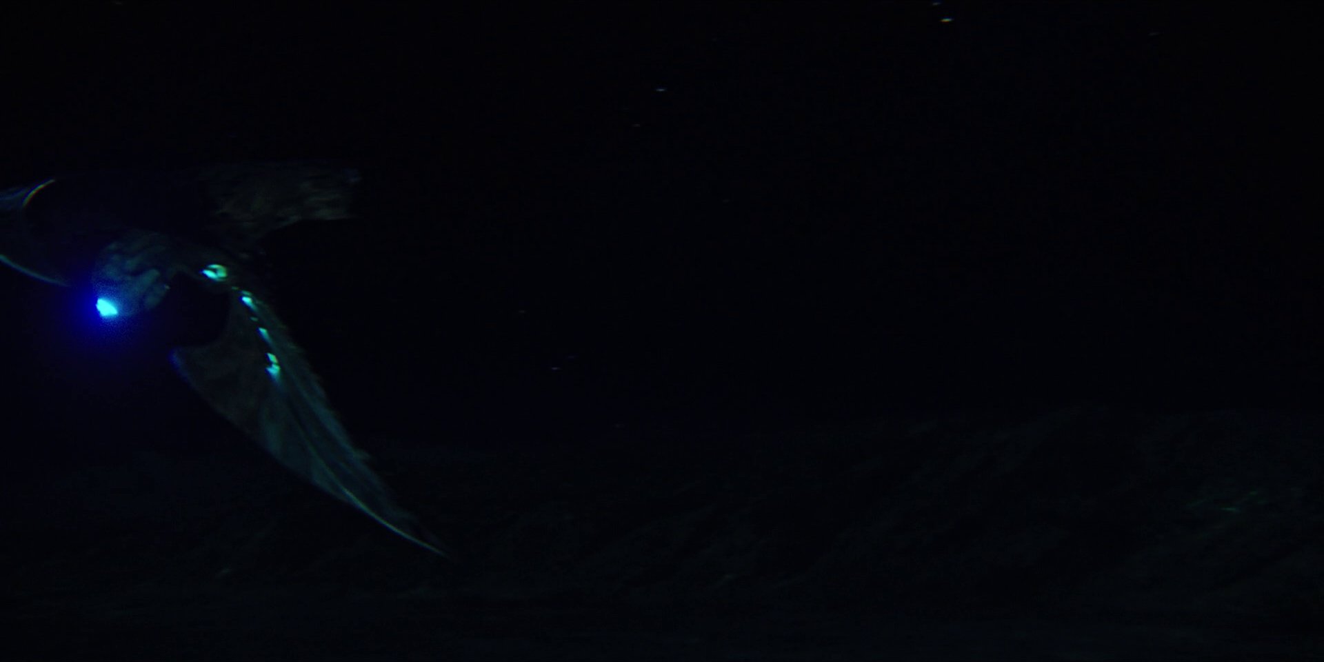 extant_StarTrekDiscovery_1x04-TheButchersKnifeCaresNotForTheLambsCry_4312.jpg