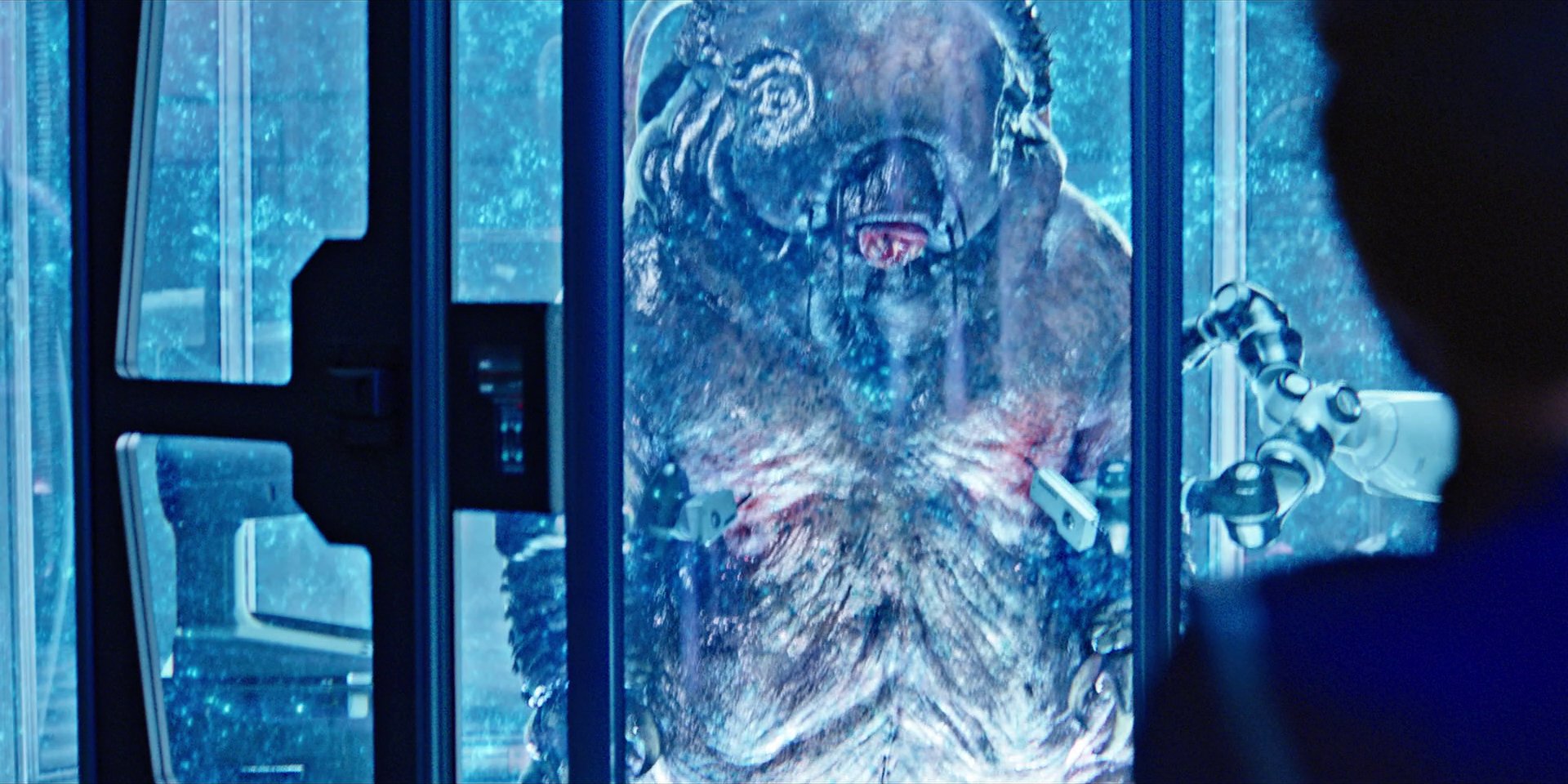 extant_StarTrekDiscovery_1x04-TheButchersKnifeCaresNotForTheLambsCry_4406.jpg