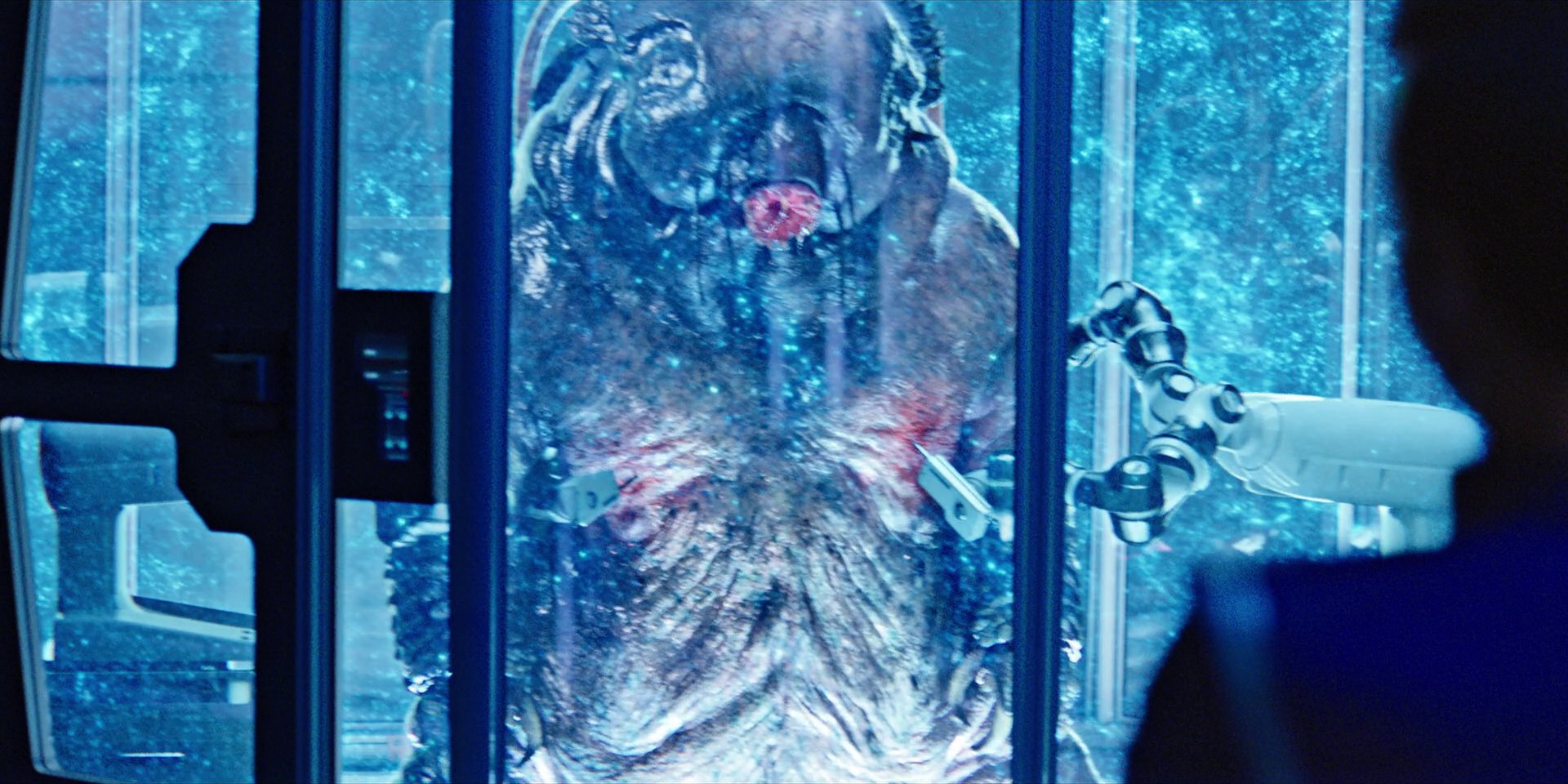 extant_StarTrekDiscovery_1x04-TheButchersKnifeCaresNotForTheLambsCry_4407.jpg
