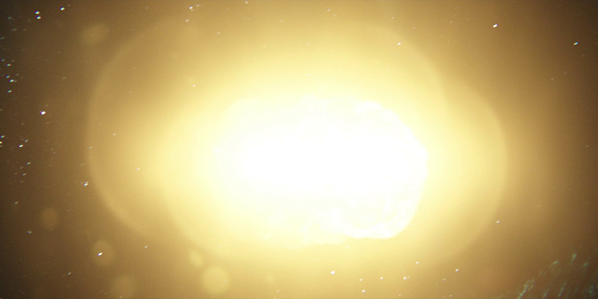 extant_StarTrekDiscovery_1x04-TheButchersKnifeCaresNotForTheLambsCry_4454.jpg