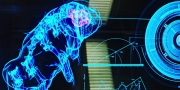 extant_StarTrekDiscovery_1x04-TheButchersKnifeCaresNotForTheLambsCry_2431.jpg