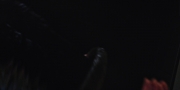 extant_StarTrekDiscovery_1x04-TheButchersKnifeCaresNotForTheLambsCry_2796.jpg