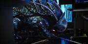 extant_StarTrekDiscovery_1x04-TheButchersKnifeCaresNotForTheLambsCry_2820.jpg