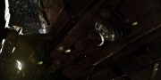extant_StarTrekDiscovery_1x04-TheButchersKnifeCaresNotForTheLambsCry_2914.jpg