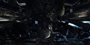 Filename=extant_StarTrekDiscovery_1x04-TheButchersKnifeCaresNotForTheLambsCry_2932.jpg
Filesize=178KiB
Dimensions=1920x960
Date added=Dec 31, 2018 extant_StarTrekDiscovery_1x04-TheButchersKnifeCaresNotForTheLambsCry_2932.jpg