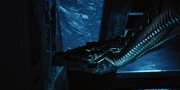 extant_StarTrekDiscovery_1x04-TheButchersKnifeCaresNotForTheLambsCry_2961.jpg