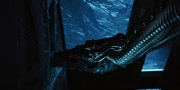 Filename=extant_StarTrekDiscovery_1x04-TheButchersKnifeCaresNotForTheLambsCry_2962.jpg
Filesize=261KiB
Dimensions=1920x960
Date added=Dec 31, 2018 extant_StarTrekDiscovery_1x04-TheButchersKnifeCaresNotForTheLambsCry_2962.jpg