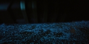extant_StarTrekDiscovery_1x04-TheButchersKnifeCaresNotForTheLambsCry_2963.jpg