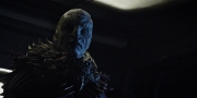 extant_StarTrekDiscovery_1x04-TheButchersKnifeCaresNotForTheLambsCry_3045.jpg