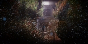 Filename=extant_StarTrekDiscovery_1x04-TheButchersKnifeCaresNotForTheLambsCry_3866.jpg
Filesize=255KiB
Dimensions=1920x960
Date added=Dec 31, 2018 extant_StarTrekDiscovery_1x04-TheButchersKnifeCaresNotForTheLambsCry_3866.jpg