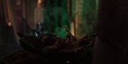 Filename=extant_StarTrekDiscovery_1x04-TheButchersKnifeCaresNotForTheLambsCry_3955.jpg
Filesize=146KiB
Dimensions=1920x960
Date added=Dec 31, 2018 extant_StarTrekDiscovery_1x04-TheButchersKnifeCaresNotForTheLambsCry_3955.jpg