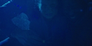 Filename=extant_StarTrekDiscovery_1x04-TheButchersKnifeCaresNotForTheLambsCry_4282.jpg
Filesize=217KiB
Dimensions=1920x960
Date added=Dec 31, 2018 extant_StarTrekDiscovery_1x04-TheButchersKnifeCaresNotForTheLambsCry_4282.jpg