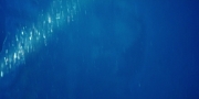 Filename=extant_StarTrekDiscovery_1x04-TheButchersKnifeCaresNotForTheLambsCry_4286.jpg
Filesize=173KiB
Dimensions=1920x960
Date added=Dec 31, 2018 extant_StarTrekDiscovery_1x04-TheButchersKnifeCaresNotForTheLambsCry_4286.jpg