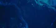 Filename=extant_StarTrekDiscovery_1x04-TheButchersKnifeCaresNotForTheLambsCry_4302.jpg
Filesize=158KiB
Dimensions=1920x960
Date added=Dec 31, 2018 extant_StarTrekDiscovery_1x04-TheButchersKnifeCaresNotForTheLambsCry_4302.jpg