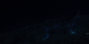 Filename=extant_StarTrekDiscovery_1x04-TheButchersKnifeCaresNotForTheLambsCry_4314.jpg
Filesize=39KiB
Dimensions=1920x960
Date added=Dec 31, 2018 extant_StarTrekDiscovery_1x04-TheButchersKnifeCaresNotForTheLambsCry_4314.jpg