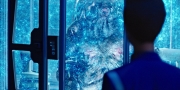Filename=extant_StarTrekDiscovery_1x04-TheButchersKnifeCaresNotForTheLambsCry_4382.jpg
Filesize=277KiB
Dimensions=1920x960
Date added=Dec 31, 2018 extant_StarTrekDiscovery_1x04-TheButchersKnifeCaresNotForTheLambsCry_4382.jpg