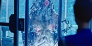 Filename=extant_StarTrekDiscovery_1x04-TheButchersKnifeCaresNotForTheLambsCry_4409.jpg
Filesize=330KiB
Dimensions=1920x960
Date added=Dec 31, 2018 extant_StarTrekDiscovery_1x04-TheButchersKnifeCaresNotForTheLambsCry_4409.jpg