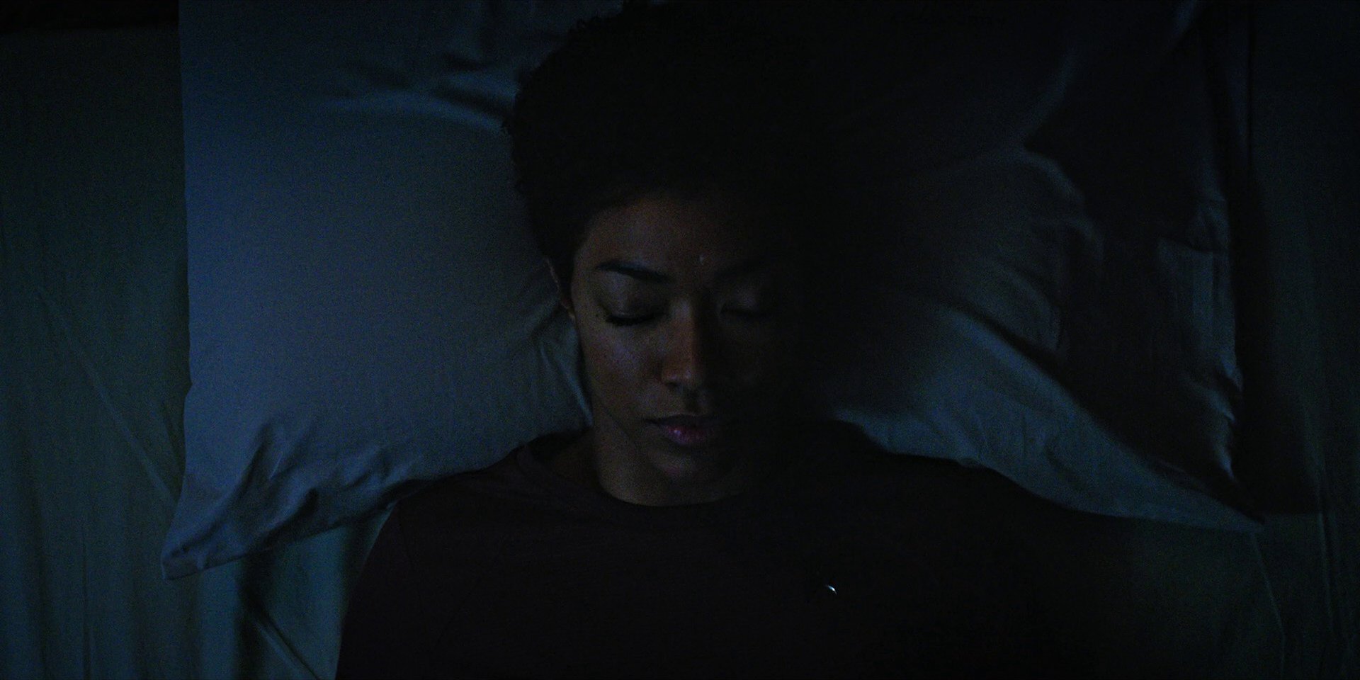 extant_StarTrekDiscovery_1x05-ChooseYourPain_0220.jpg