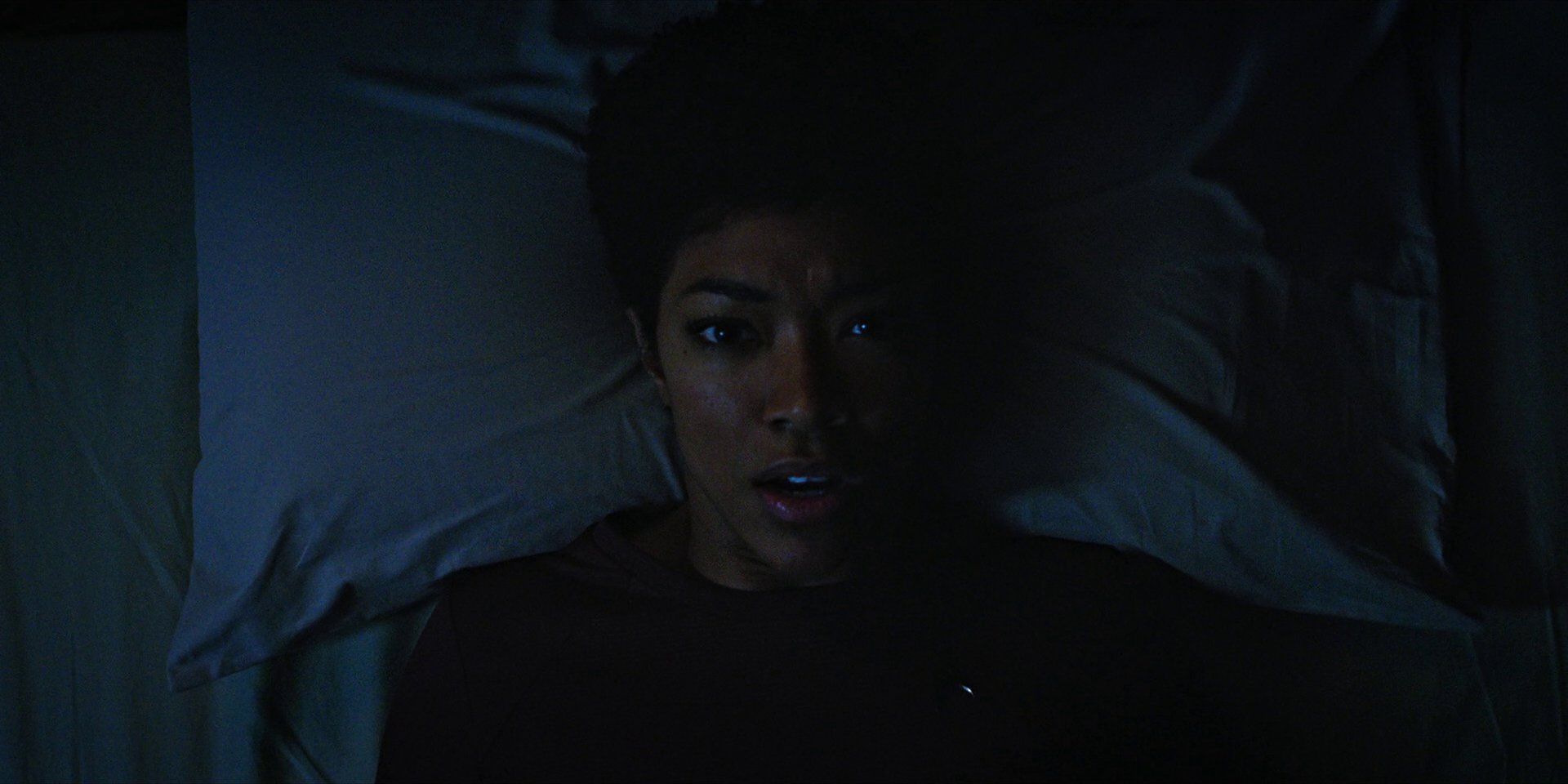 extant_StarTrekDiscovery_1x05-ChooseYourPain_0221.jpg