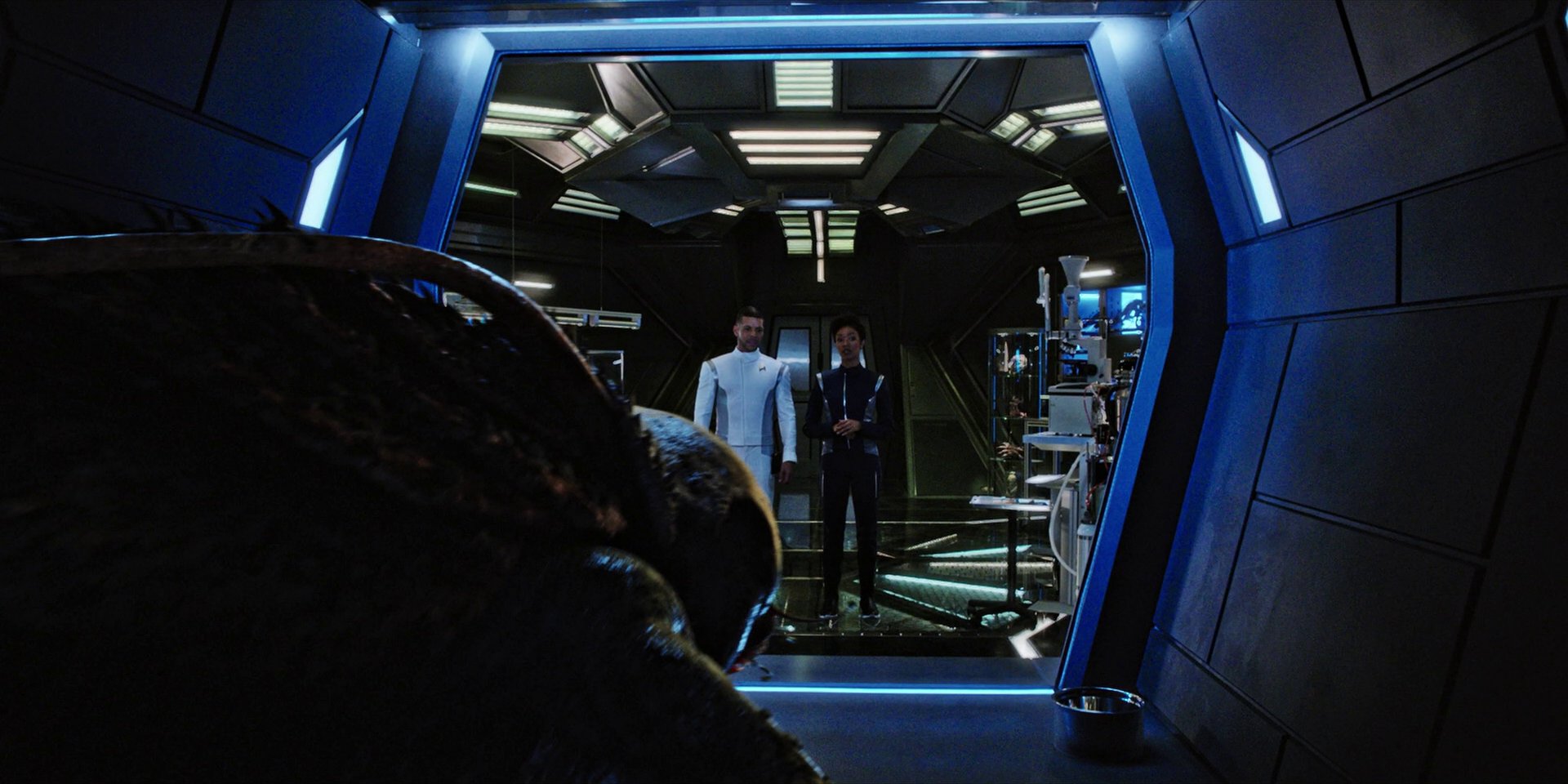 extant_StarTrekDiscovery_1x05-ChooseYourPain_0253.jpg