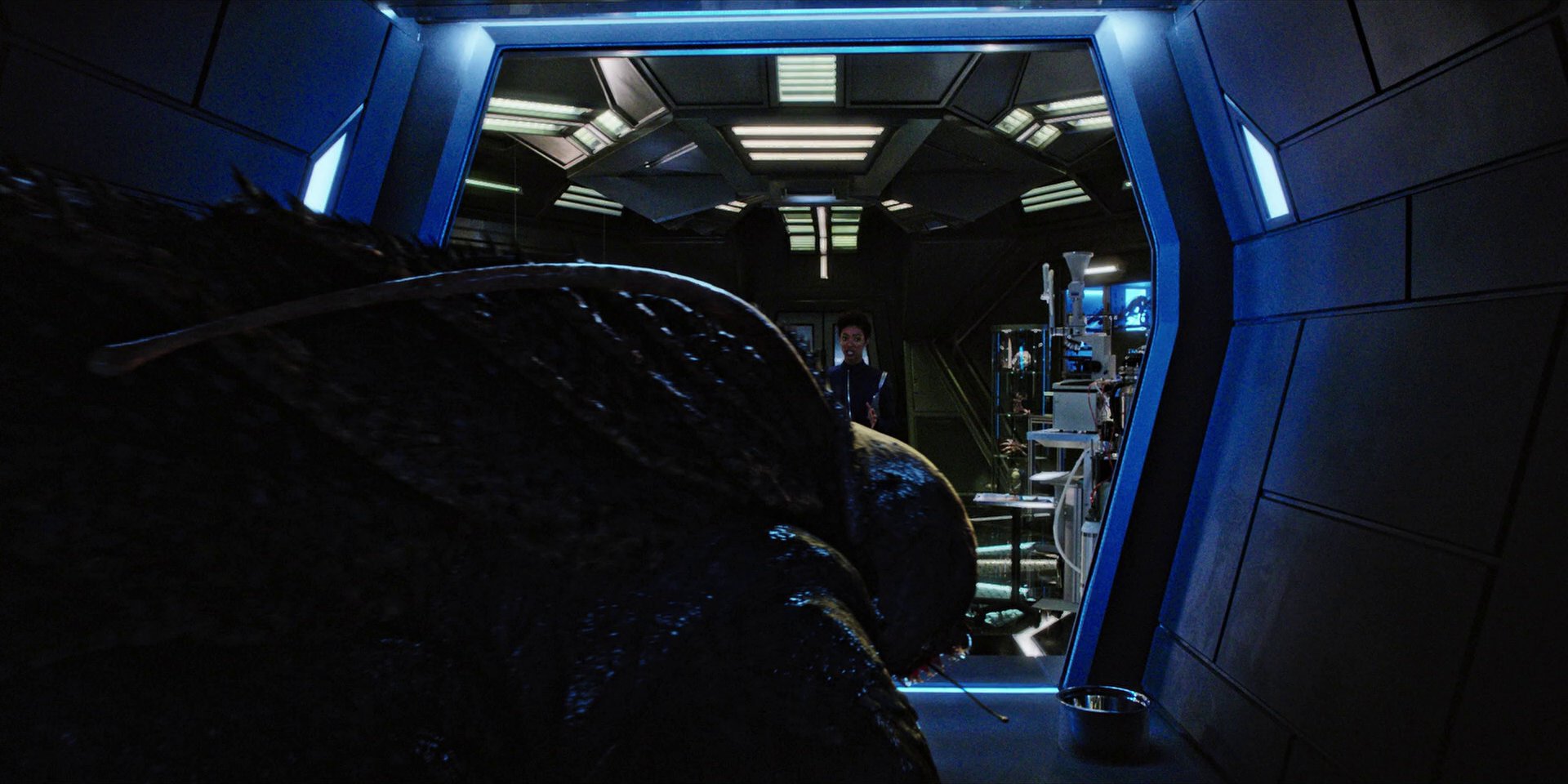 extant_StarTrekDiscovery_1x05-ChooseYourPain_0255.jpg