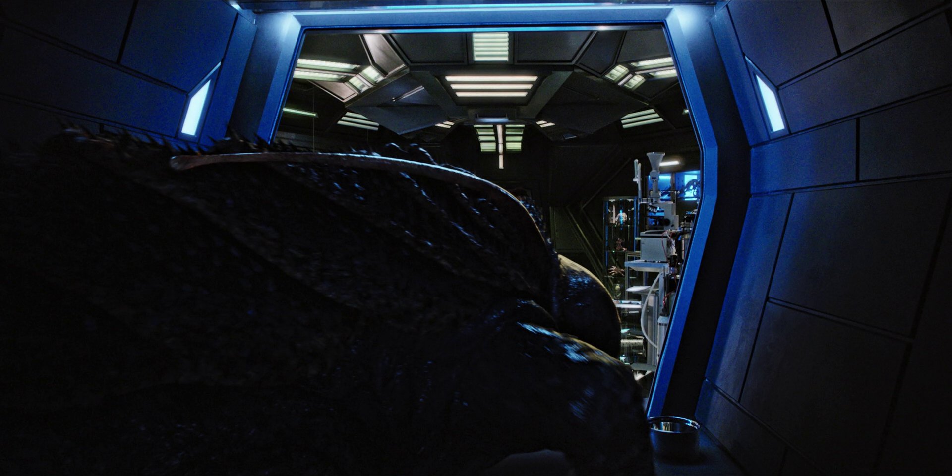 extant_StarTrekDiscovery_1x05-ChooseYourPain_0256.jpg